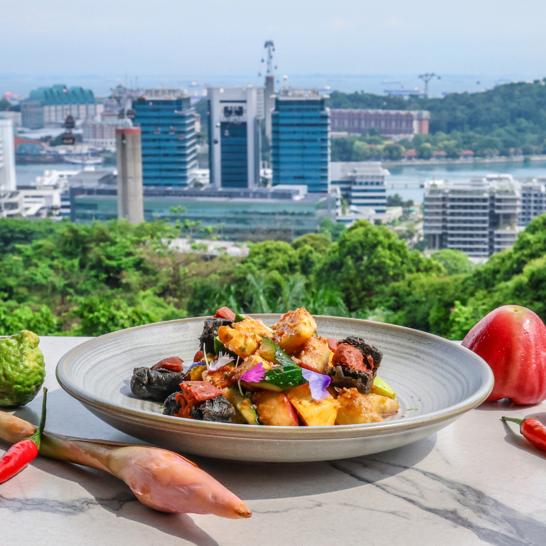 Mount Faber Mount Faber Dining – Cable Car Dining Singapore – AJRUZ