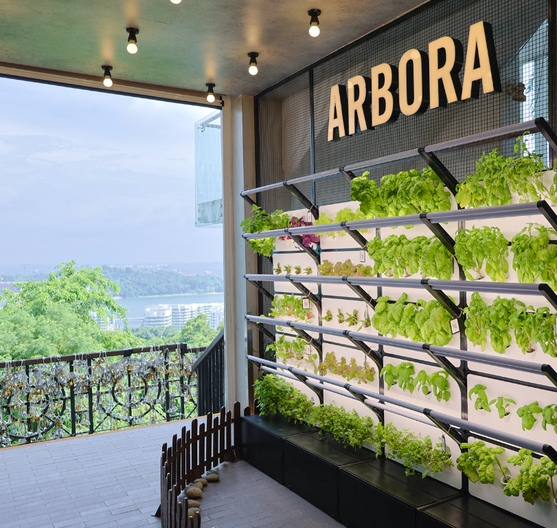 Green wall at Arbora Mount Faber Peak with a hilltop view over the harbour surrounded by lush greenery and nature